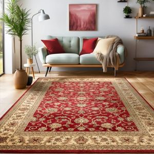 Tapis oriental traditionnel classique motif floral ornements rouge sable noir [300x400 cm]
