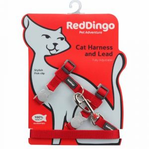 Chadog Harnais avec laisse pour chat 12 mm