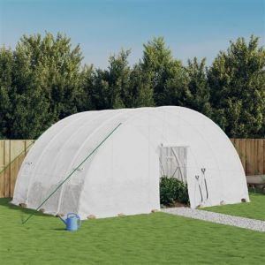 VidaXL Serre avec cadre en acier blanc 24 m² 6x4x2,85 m