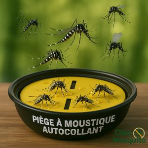 Piège flottant naturel anti-moustiques