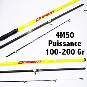 Image de Millenium CANNE MER DREAM SURF 4M50