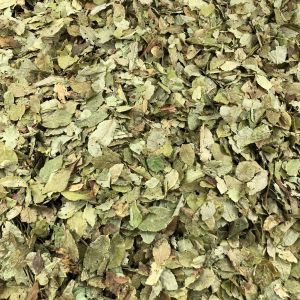 Image de Myrtille Feuilles Bio en Vrac 500g Vrac Bio