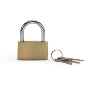 Waytex Cadenas à Clé pour Casier, Armoire, Vestiaire, Abri de jardin - Sécurité renforcée, Cadenas en Acier trempé et laiton, doré