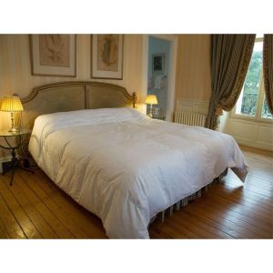 Castex Couette éco canard 30% duvet (240 x 260 cm)