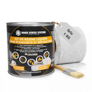 Hanse Syntec Systems - Kit de Membrane d'Étanchéité - Incl. un pinceau et un non-tissé (Gris, 1kg)