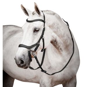 Bridons équitation avec rênes en caoutchouc Horseware Micklem 2