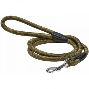 Bobby Laisse pour chien Walk