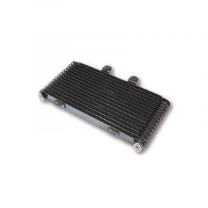 Brazoline Radiateur d'huile Suzuki GSF 1200 Bandit WVA9 01-05