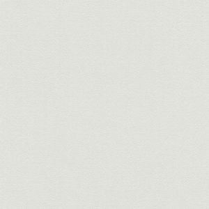 A.S. Creation Papier peint intissé 372627 Blooming - Papier peint uni Beige/Crème Gris - 10,05 x 0,53 m