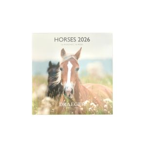 Draeger Grand Calendrier Mural 29x29 cm 2026 - Plusieurs Styles
