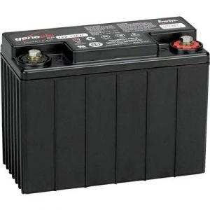 Enersys Batterie au plomb 12 V 13 Ah Genesis 12EP13 plomb (AGM) (l x h x p) 176 x 130 x 83 mm raccord &agrave; vis M6 sans entr