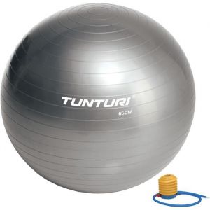 Tunturi Gym ball ballon de gym 65cm argent