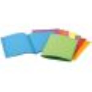 Rainex 100 sous-chemises dossiers  80 g/m2