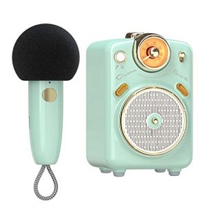 Divoom Fairy-OK Haut-Parleur Bluetooth Portable avec Microphone karaoké, Microphone KTV Portable pour Adultes/Enfants, Microphones dynamiques pour Appareil karaoké pour iOS/Android(Vert)