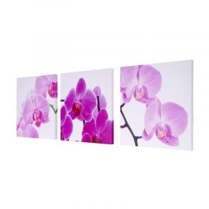 Image de Décoshop26 Toile de décoration murale tableaux orchidée kit de 3 pièces 150x50cm DEC04051