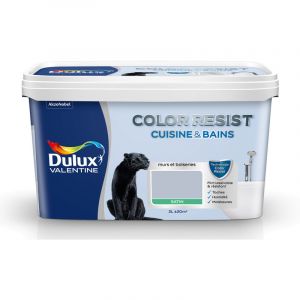 Dulux Valentine Peinture cuisine et salle de bain Color resist galet poli satin 2L