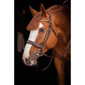Bridon équitation Pénélope Daily Strass