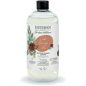 Image de Esteban Paris Cèdre Sauvage Recharge pour Bouquet parfumé 500ml