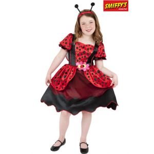 D&eacute;guisement coccinelle enfant