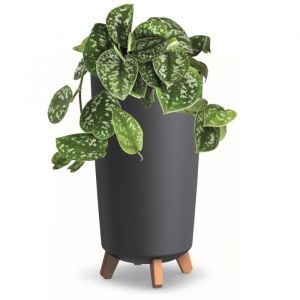 Pot de fleurs pieds haut Tube jardiniere rond 24 cm bac a fleurs mat anthracite en plastique