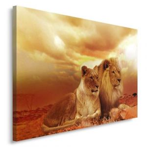 Image de Feeby Tableau sur toile Lions Animaux Afrique Marron 120x80