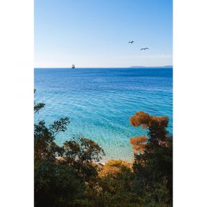 Ceanothe Tableau sur toile le Lavandou mer 30x45 cm