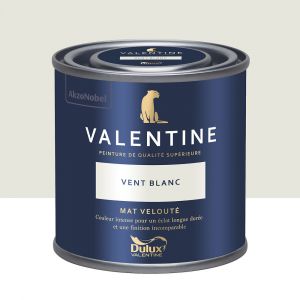 Dulux Valentine Peinture murs&boiseries Valentine Mat Velouté Vent Blanc 0,125L