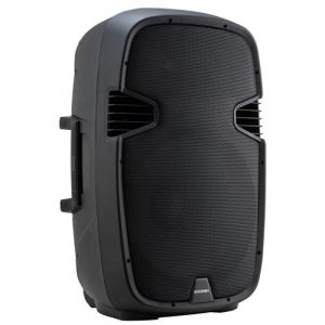 Mcgrey Enceinte passive 800 Watt P215-MP 120 W RMS / 800 W Peak, résistance : 8 Ohms couleur Noir