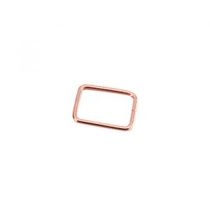 Lot de 10 tentes pour pi&egrave;ge &agrave; taupe putange - klaktrap