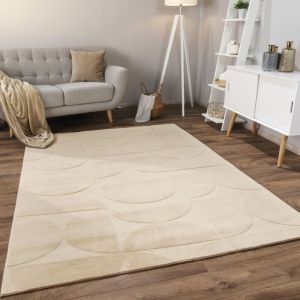 Paco Home - Tapis Salon Chambre Adulte Poils Ras Scandinave Motif Boho Motif Geometrique 80x150 cm, Beige 6