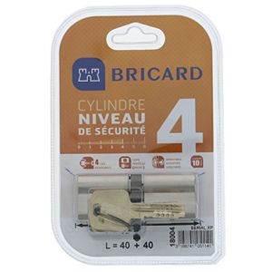 Bricard 18004 Cylindre de serrure double entrée Serial Xp 40+40 Nickelé