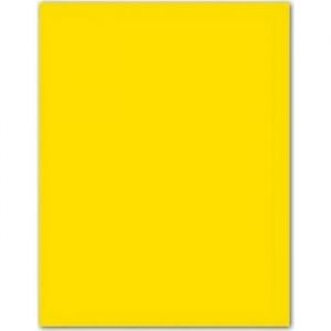 Canson Guarro Pack de 25 Cartes A4 Iris de 185g - 50x65cm - Couleur Gualda