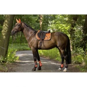 HKM Tapis -Golden Gate Orange Poney Dressage