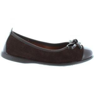 Garatti Chaussures An0086 EU 36 Brown