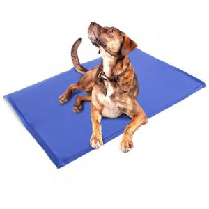 wiltec Fudajo - Tapis rafraichissant Chien Chat Animaux domestiques 50x90cm Tapis Gel Auto-refroidissant Été