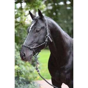 Kerbl Licol éthologique pony