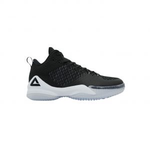 Peak Chaussures indoor Taichi Lou Williams 1