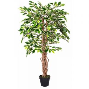 Image de Homescapes - Plante Figuier pleureur Ficus Benjamina Vert & Crème 122 cm - Vert