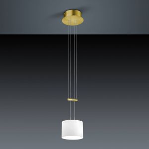 BANKAMP GRAZIA Suspension LED, 1 source de lumi&egrave;re, avec variateur, 2149/1-01,