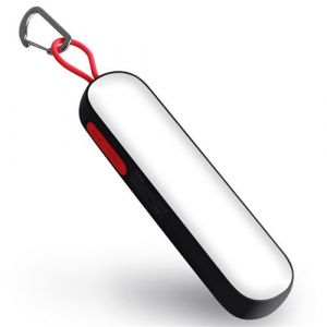 Daffodil Torche LED USB et batterie de camping portable
