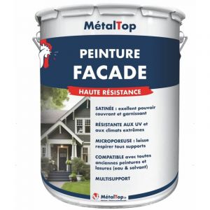 Peinture Facade - Metaltop - Bleu pastel - RAL 5024 - Pot 5L