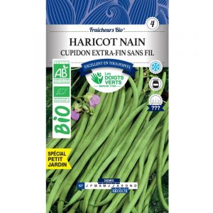 Les doigts verts Haricot Nain Cupidon Bio