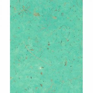 Image de Clairefontaine 98210C - Etui de 10 feuilles de papier Banane Paper Touch, 35 g/m², 0,65m x 0,95m, coloris vert pâle