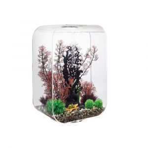 Image de Biorb Aquarium 60l contours transparent - Life 60 MCR transparent