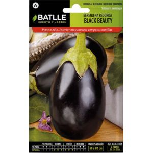 Batlle Aubergine Noire Ronde Black Beauty