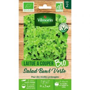 Vilmorin Sachet graines bio Laitue &agrave; couper SALAD BOWL Verte