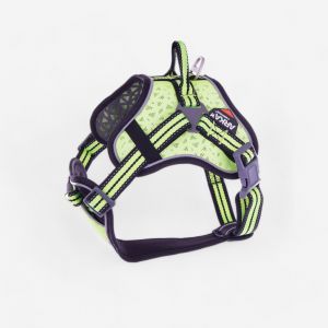 Martin Sellier Harnais pour chien