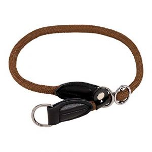 Lionto Hundehalsband - Retrieverhalsband