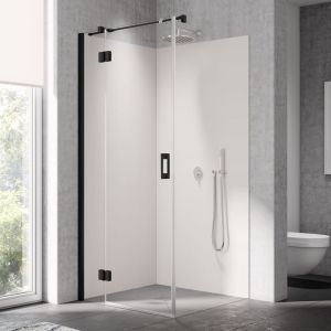 Image de Kermi Liga Porte pivotante, avec &eacute;l&eacute;ment fixe, pour paroi lat&eacute;rale, LISNL080203AK, LISNL