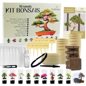 CULTIVEA Kit 10 Bonsaïs à Planter – Coffret Complet avec Graines Pots Outils & Notice Idée Cadeau